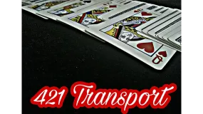 421 Transport by David Luu video DOWNLOAD