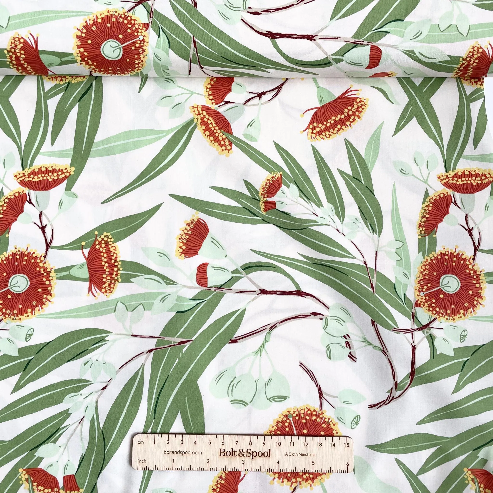 Birch Organic Fabric : Flowering Trees - Eucalyptus Tree