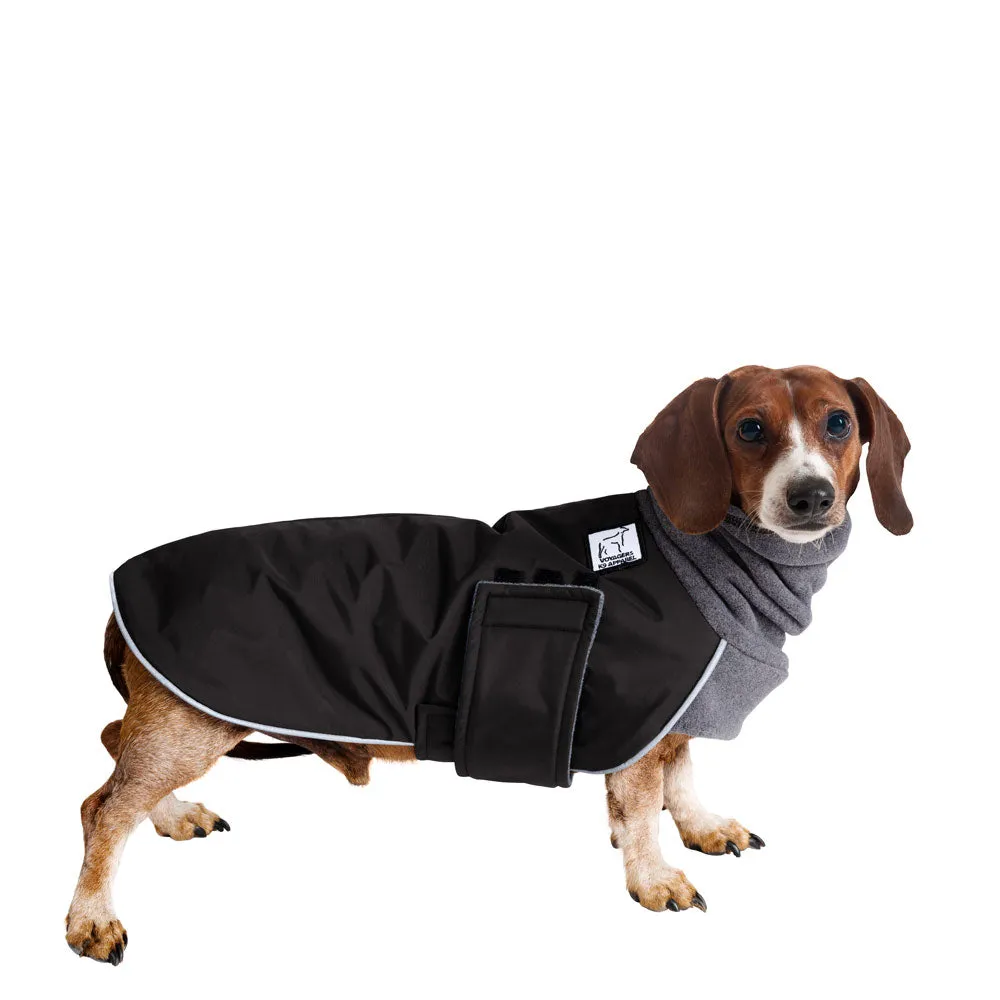 Miniature Dachshund Winter Coat