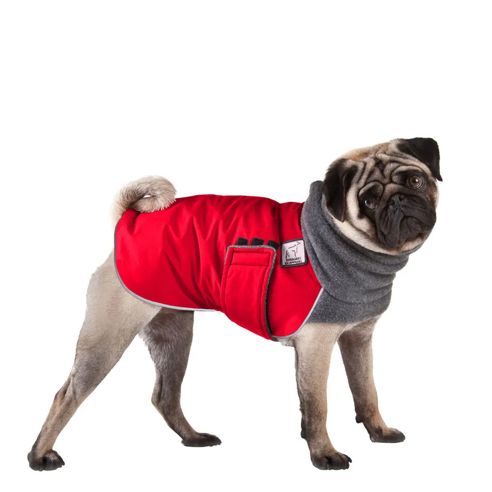 Pug Winter Coat