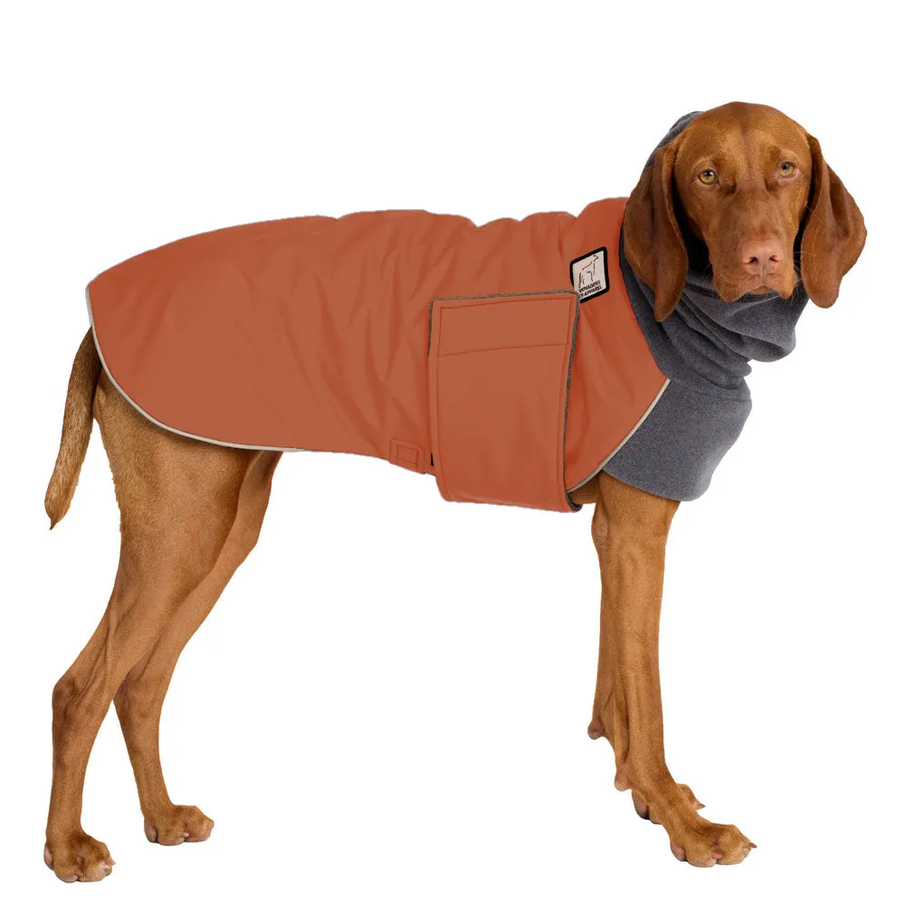 Vizsla Winter Coat