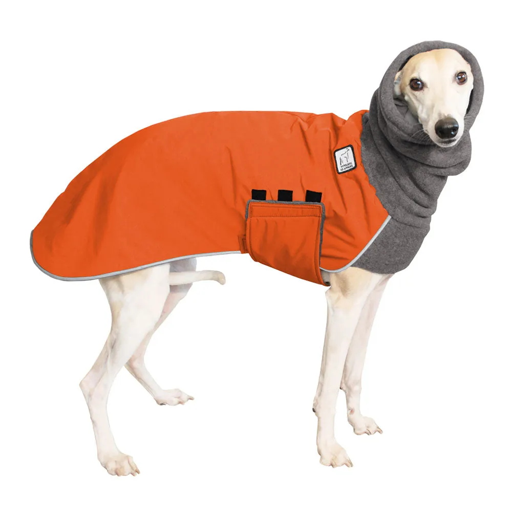 Whippet Winter Coat